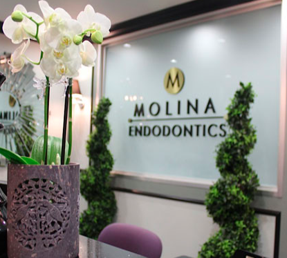 Molina Endodontics reception